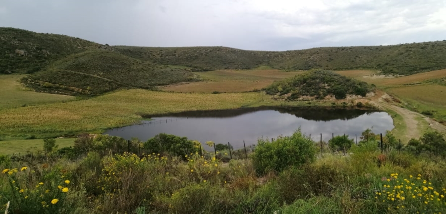 3 Bedroom Property for Sale in Joubertina Eastern Cape